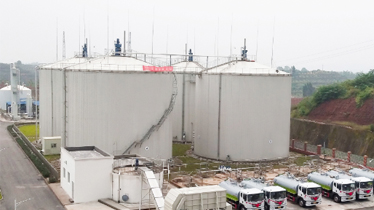 推進畜牧業轉型升級，帶動地區經濟發展