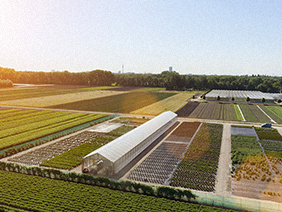 企業(yè)發(fā)展理念