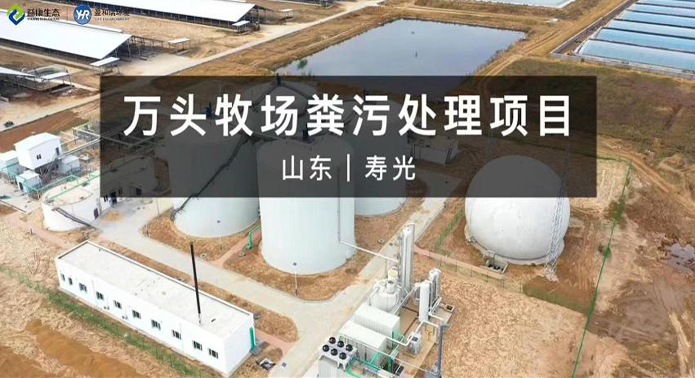 山東壽光｜萬頭牧場糞污處理項目